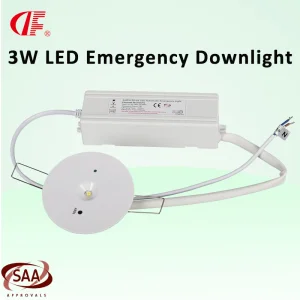 Emergency Downlight