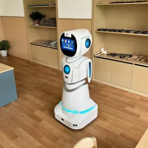 Educational Lesson Planning Progress Tracking Tutoring Aid Humanoid Service Robot