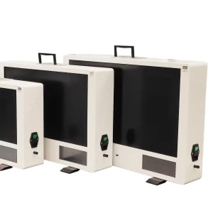 Advanced HD Endoscopy Camera System for Urology Applications