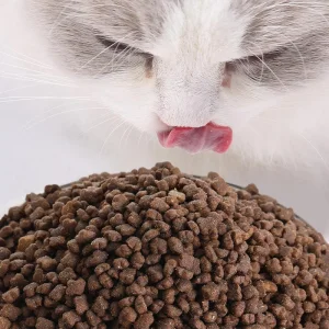 Premium Cat Food Weight Management