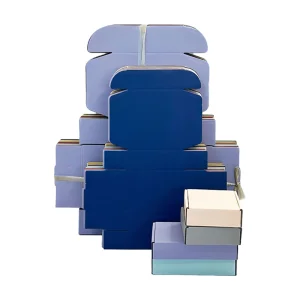 Stylish Holiday Paper Packaging Box