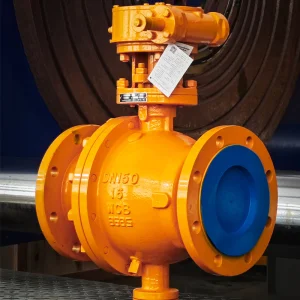 Tungsten Coated Valve