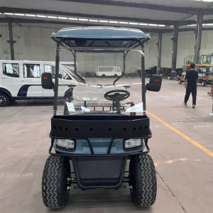 Wheel Drive Electric Lift Golf Cart