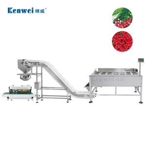 Efficient Form-Fill-Seal System Featuring 14 Head Manual Multihead Weigher Packaging System