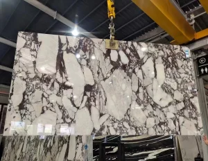 Italy Calacatta Viola