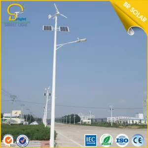 China Top Pure White 15W to 120W Wind Solar Hybrid Street Lights