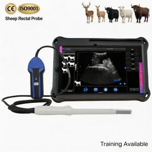 Ultrasonido veterinario