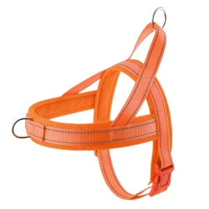 Nylon Webbing Reflective Harness