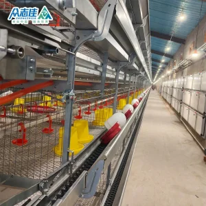 Poultry Automatic Feeding System for Broiler Farm Poultry Farming Equipment Broiler Cage