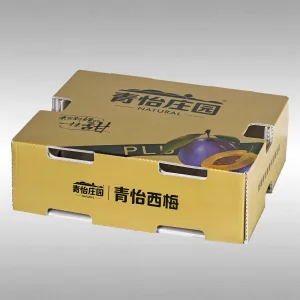 Corrugated Fruit Box