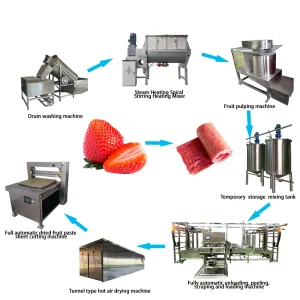 Fruit Leather Equipment PLC Gear Motor