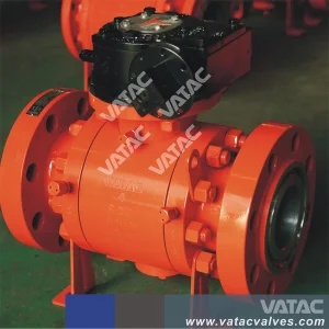 RF Forged Steel Valve