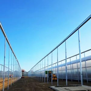 AI Greenhouse Control