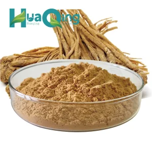 Dong Quai Herbal Extract