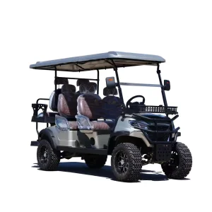 2024 New Style Battery Solar 6 Seaters Off-Road Electric Golf Cart Buggy Street Legal