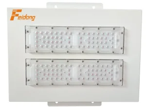 Canopy Light