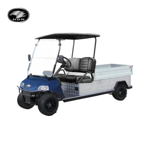 Heavy Duty Buggy Utility Vehicle for Sale Farm Cargo Box UTV HDK EVOLUTION Electric Golf Cart