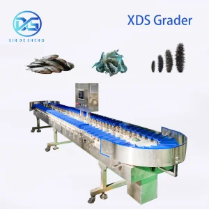 High-Precision Scallop Oyster Sorting Equipment Auto Grading by Weight