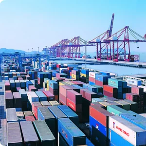Qingdao to France Cheapest FCL LCL Suppliers