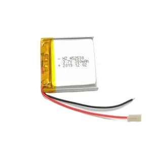 Li-Po Battery