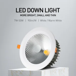 Modern LED Recessed Downlight Ceiling Spotlight for Indoor Spaces Light