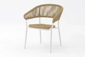 Alum Rattan Chair