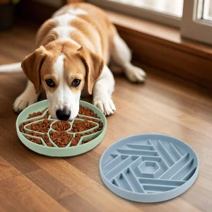 Modern Silicone Slow Feeder Dog Bowl