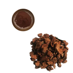 China Wholesale Pine Bark Extract Powder
