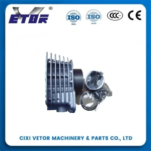 China 300cc Cylinder High Performance Engine Upgrade