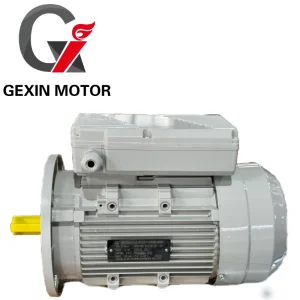 ML Series Motor