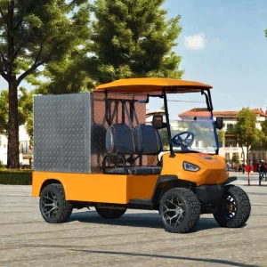 Manufacture New Design Legal Street Car 2 Seat Electric Golf Cart with Rear Cargo Box