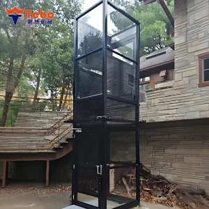 Small Home Lift for Multi Floor Houses with Transparent Vacuum Glass Design
