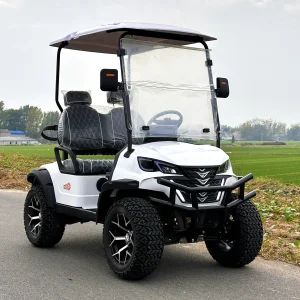 Compact Electric Golf Cart