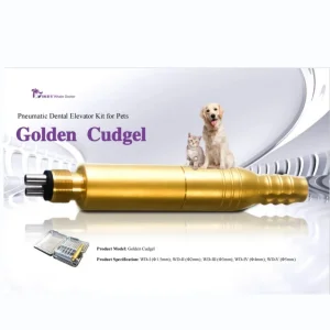 Pet Dental Tools