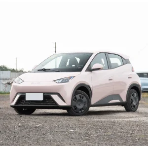 2024 BYD Seagull EV