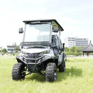 Mini Luxury Electric Golf Cart