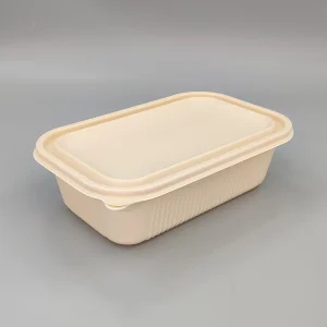 Disposable Corn Starch Lunch Box Eco Friendly Biodegradable Food Container for Takeaway Meals