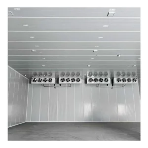 Walk in Freezer Cold Storage