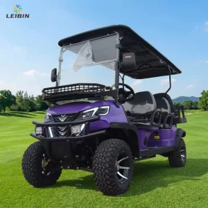 Customized Electric Golf Cart 6-Seater