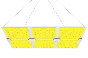 Quantum Board-Q 660W