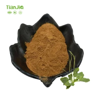 Plantain Extract