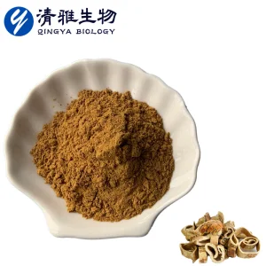 Plant Extract Morus Alba Extract10: 1 Herbal Extract Morus Alba Powder