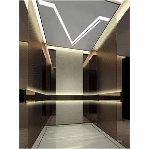 Chinese Custom Design Luxury FUJI Passenger Home Lift Price Residential House Elevator