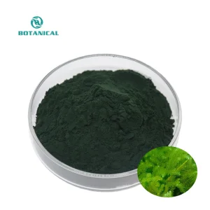 Factory Supply Pure Natural Premium Spirulina Powder Spirulina Chlorella Tablets for Smoothie &amp; Health Drink