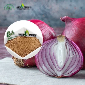 Onion Extract Powder