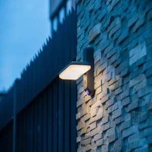 Solar Outdoor LED Garden Light