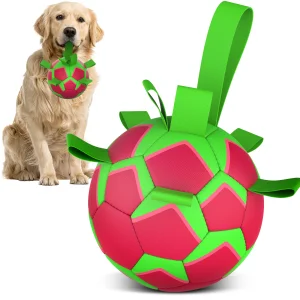 KINYU 2025 Waterproof Floating Eco-friendly Dog Ball