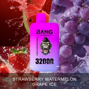 Wholesale Cheap Vape Dual Flavors Bang Leader