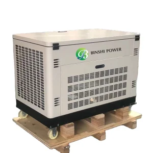 Dual Fuel Generator