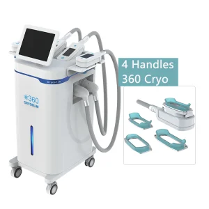 2025 Cryolipolysis